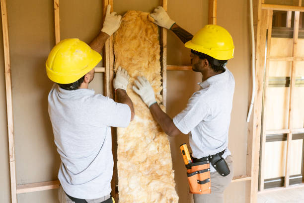 Best Blown-In Insulation  in Turlock, CA